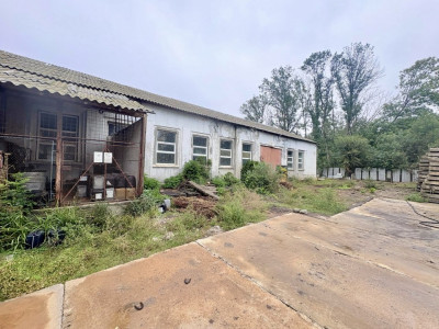 Hala 450 mp in mijlocul padurii Valu lui Traian 1875 mp 